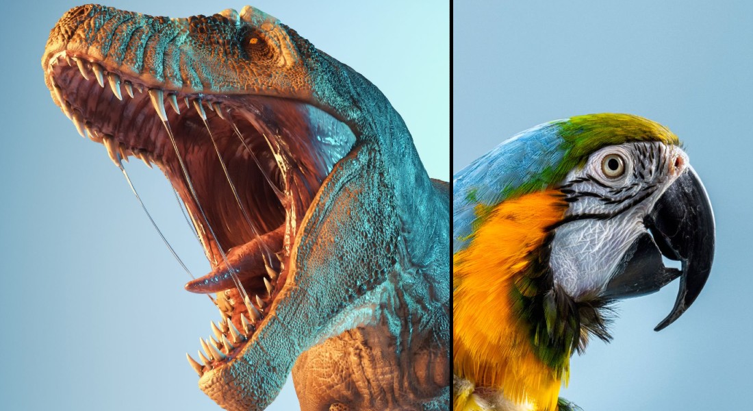Foto af en dinosaur overfor en papegøje